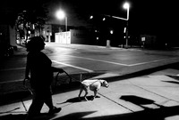 Cow&Diann03