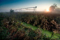 Green Water Blues