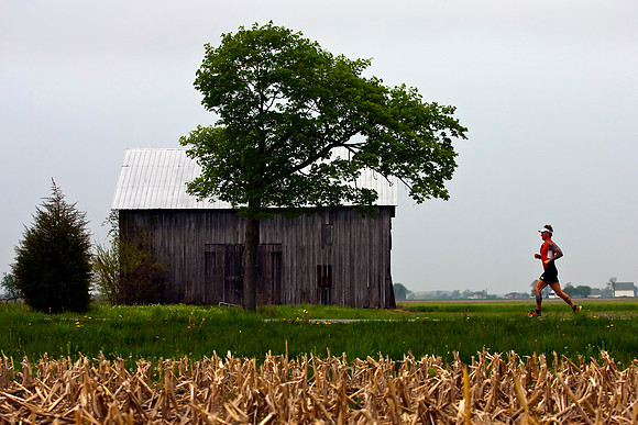 Todd Crandall