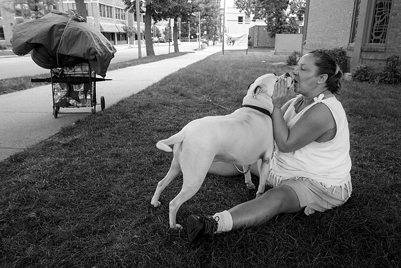 Cow&Diann05